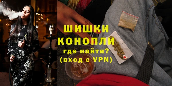 прущие грибы Кинешма