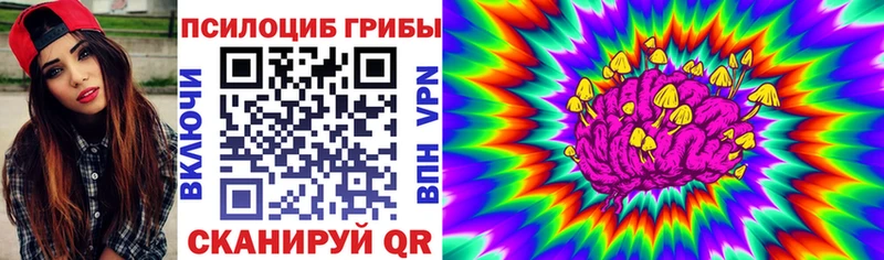 Галлюциногенные грибы мухоморы  хочу наркоту  Котовск 