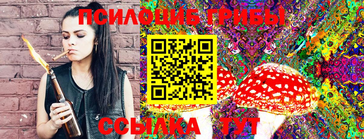 Галлюциногенные грибы Psilocybine cubensis Котовск